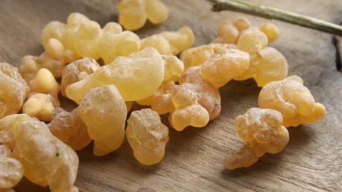 Frankincense Essential Oil