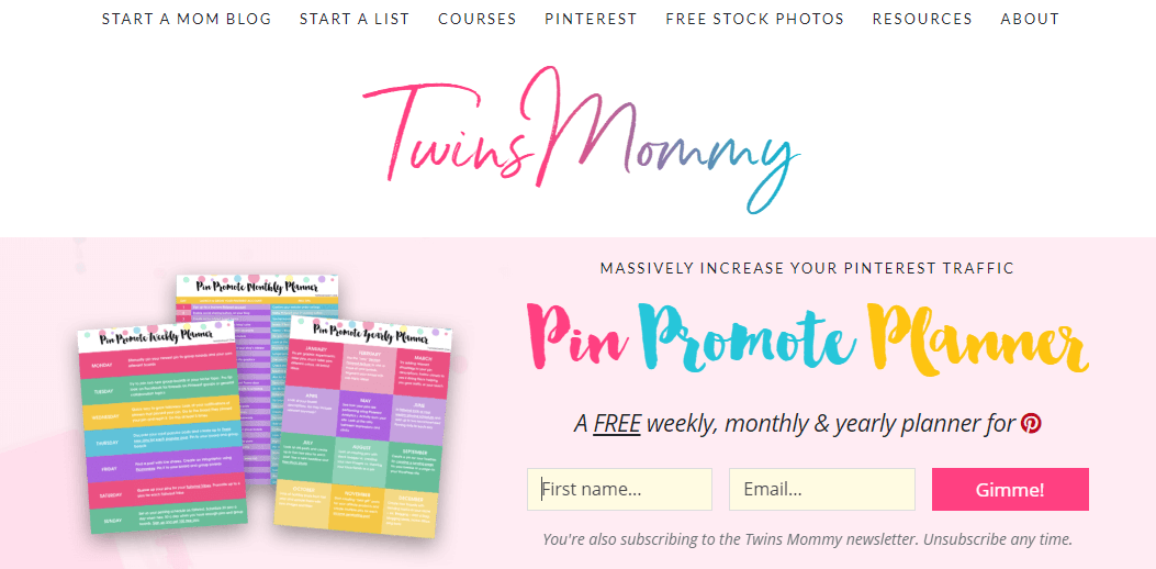 elna-cain-twins-mommy-how-to-find-your-blogging-niche-2