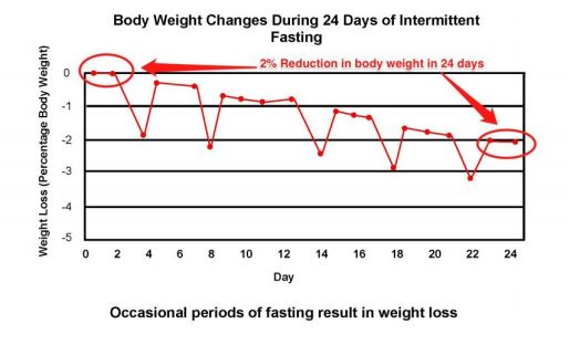 eat-stop-eat-weight-loss Eat Stop Eat Diet