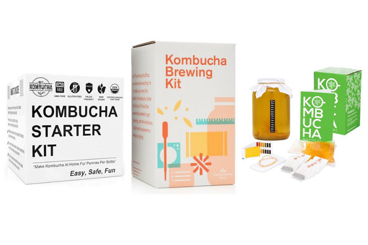 Top 10 Best Kombucha Starter Kits (2019) Reviews • Made With Oils