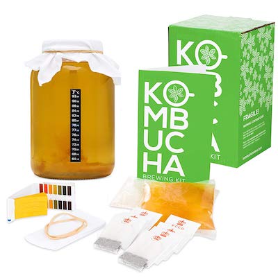 best kombucha starter